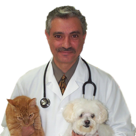 Dr.MiladBekhet